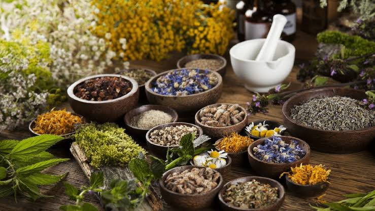 alternative medicine for lifestyle diseases